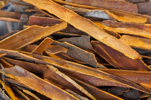 Pile of cinnamon bark