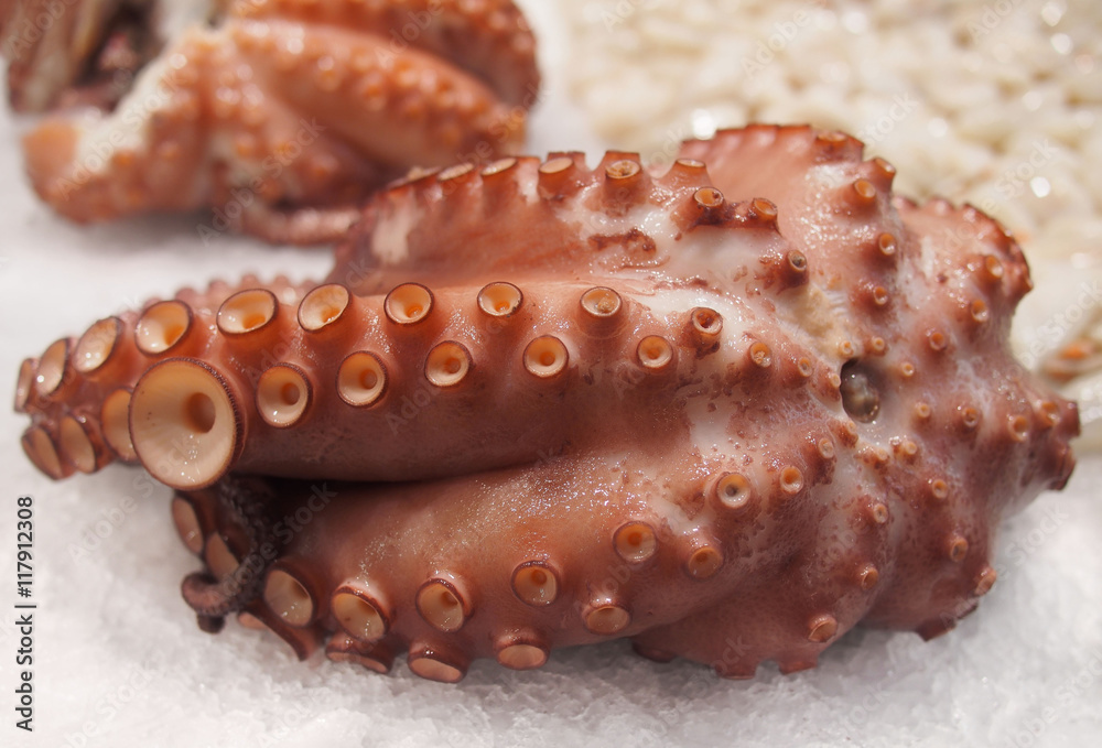 Fresh octopus at Valencian market