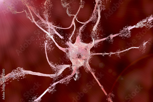 Apoptosis of neuron which is observed in different diseases, such as viral encephalitits, neurodegenerative diseases, psychiatric disorders, African trypanosomiasis, rabies and other. 3D illustration