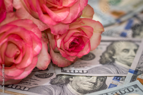 koral roses with dollars