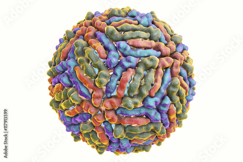 Fotografija West Nile virus isolated on white background, 3D illustration
