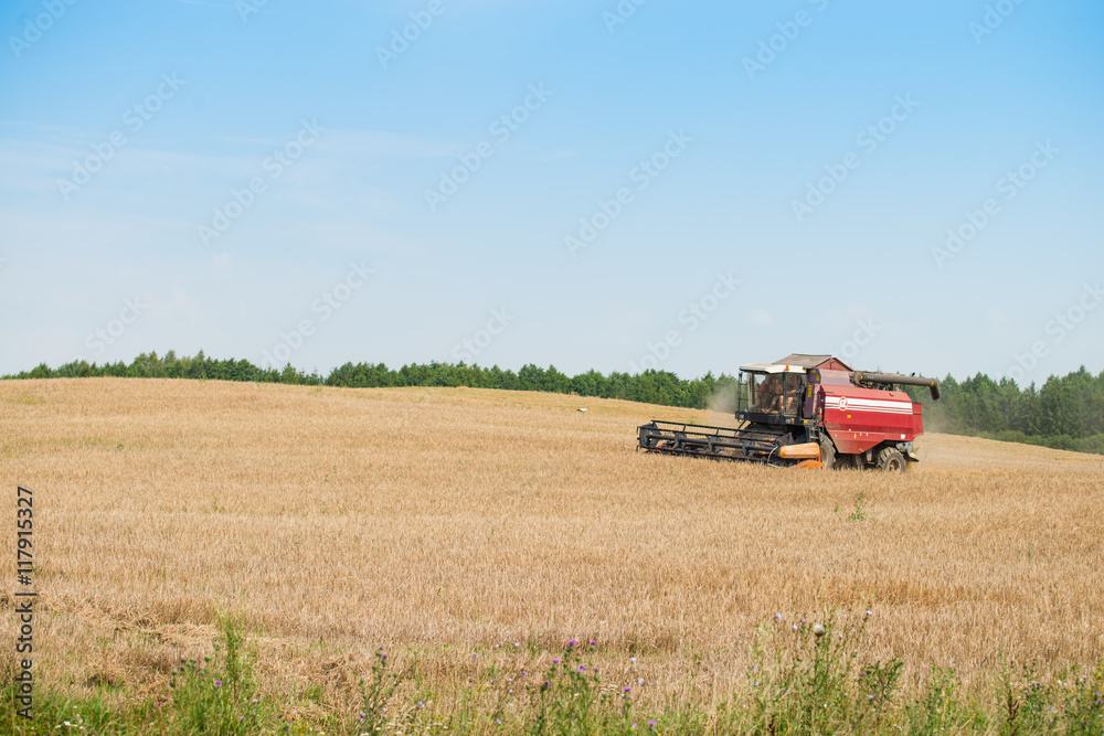combine harvester on a wheat field with blue sky