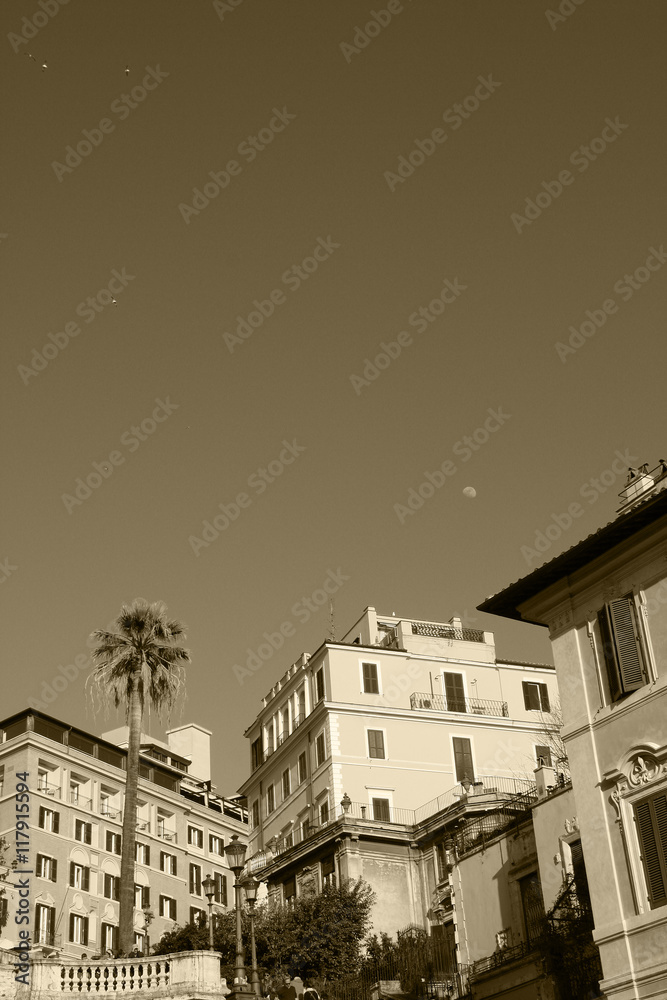 Rome,Italy,houses,palm.