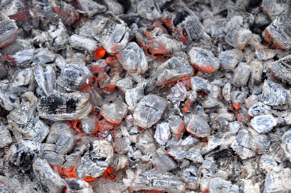 Barbecue Grill Flame Fire Charcoal BBQ Background Barbecue Grill Flame Fire Charcoal BBQ Background