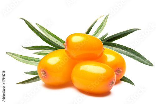 Four sea buckthorn berries, clipping paths