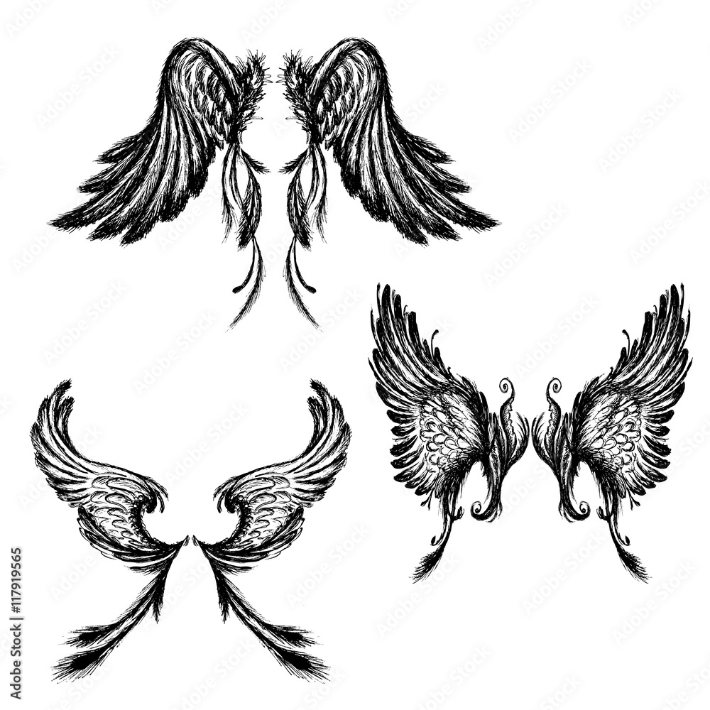 Set of Wings , isolated on white background