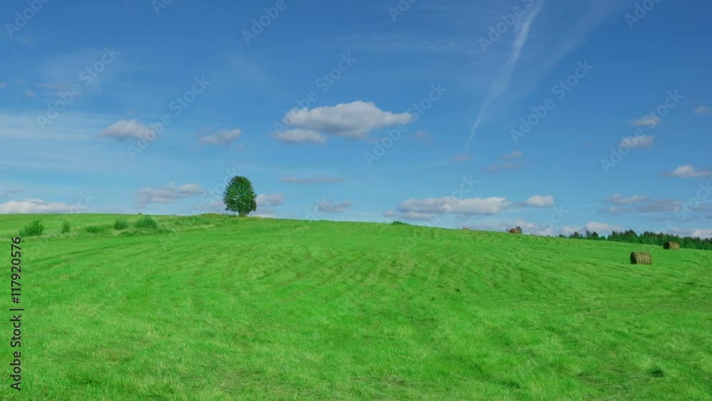 Time lapse shot of lonely tree on field with hay bales
Time lapse shot of lonely tree on field with hay bales