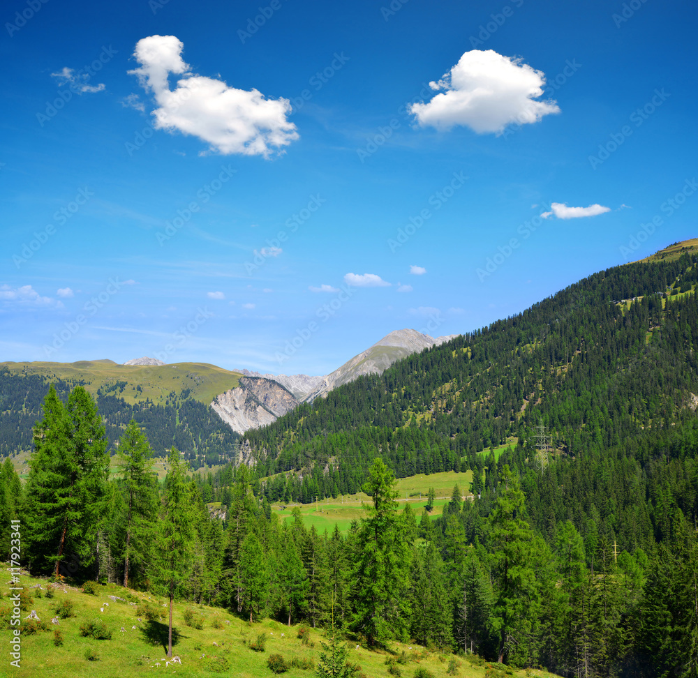 Summer landscape in Switzerland Alps - Park Ela, canton Graubunden.