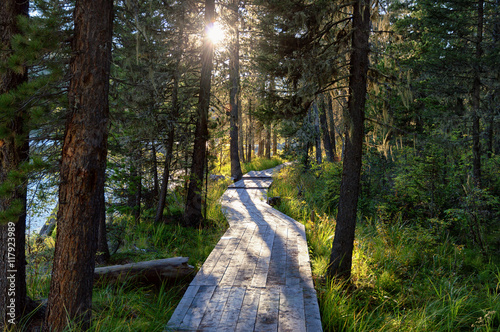Wooden boardwalk along Rakhmanovskoe lake in East Kazakhstan, Altai mountains 