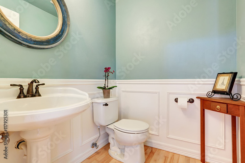 Mint walls in white bathroom with antique washbasin stand