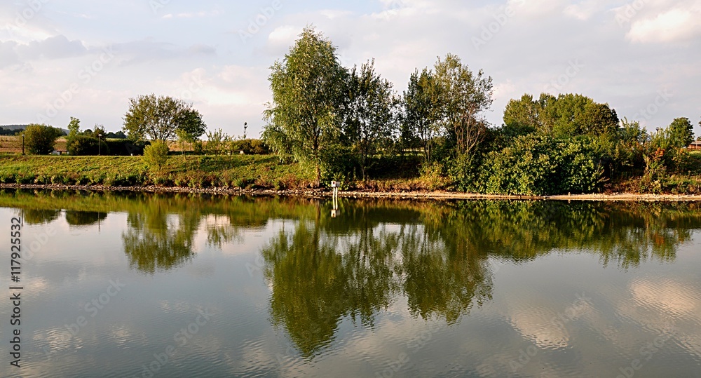 trees and reflection in water