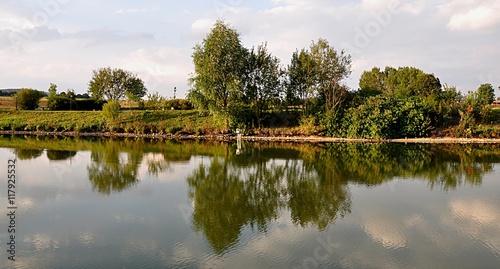 trees and reflection in water