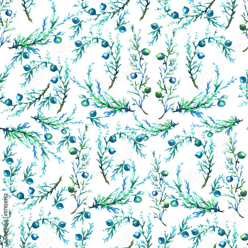 Watercolor vintage pattern from plants  twigs and berries  juniper  pine needles  blue-green color. Seamless use of different design
