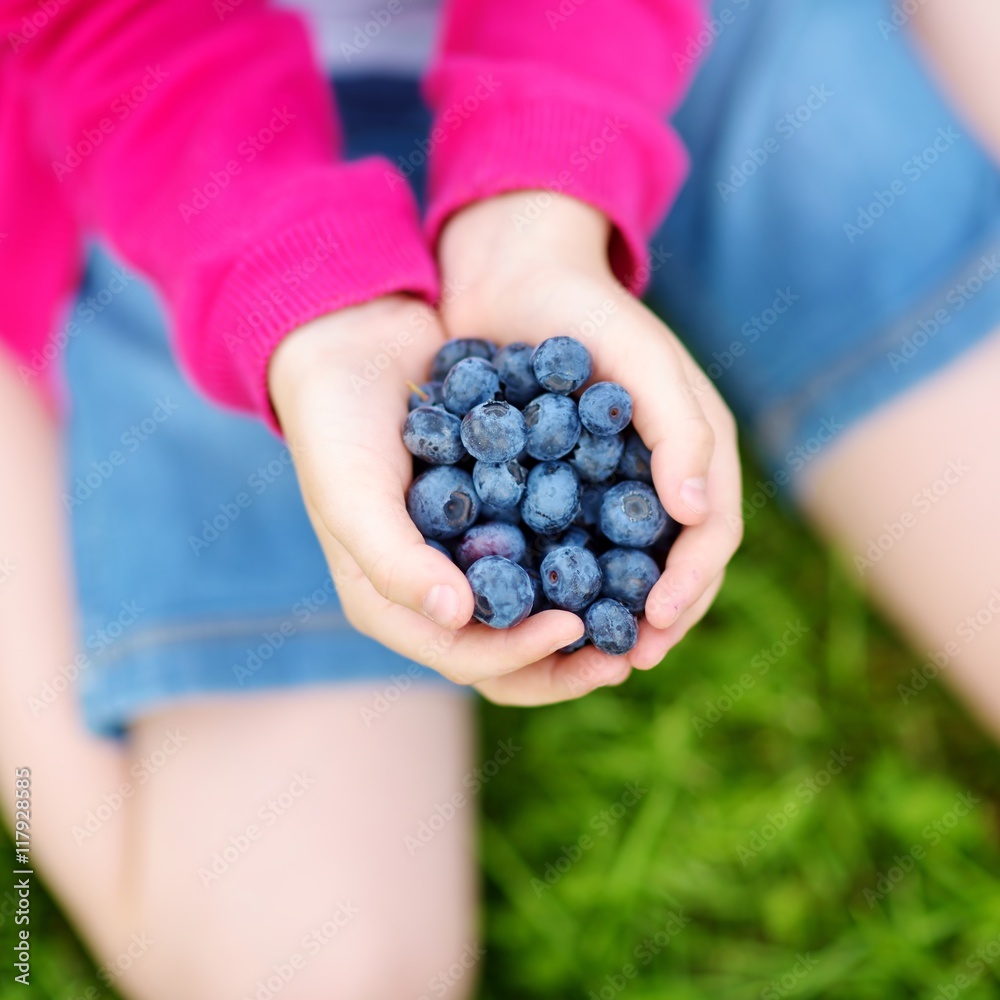 Close-up of childs hands holding fresh blueberries Close-up of childs hands holding fresh blueberries