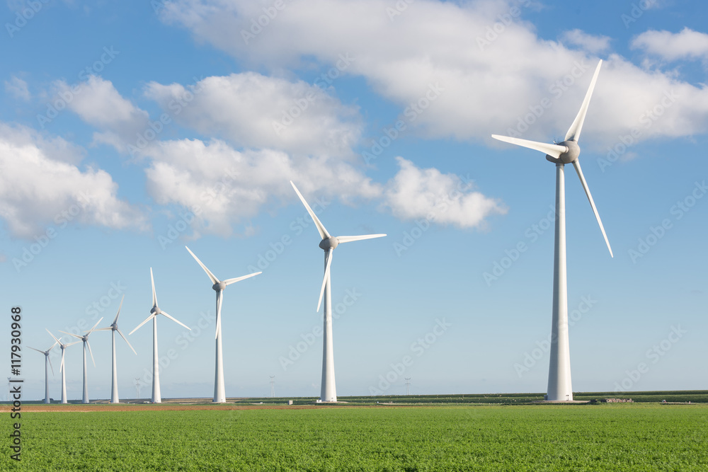 Windfarm in Dutch landscape with field of sugar beets Windfarm in Dutch landscape with field of sugar beets