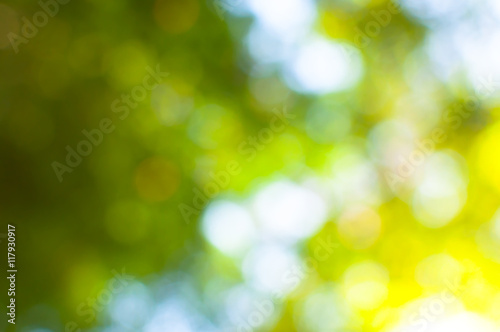 bokeh lights from nature use as background, eco concept © rawintanpin
