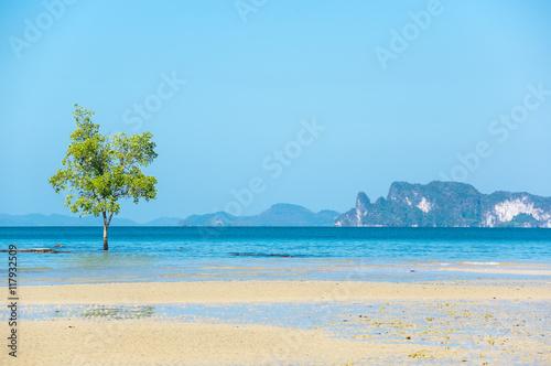 Fototapeta Naklejka Na Ścianę i Meble -  Klong Muang beach