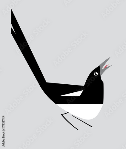 Minimalistic image of magpie
