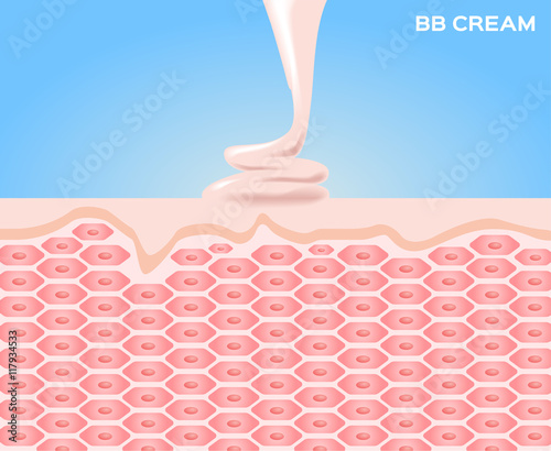 bb cream make skin smooth , skin vector