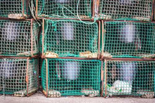 isolated fish traps
