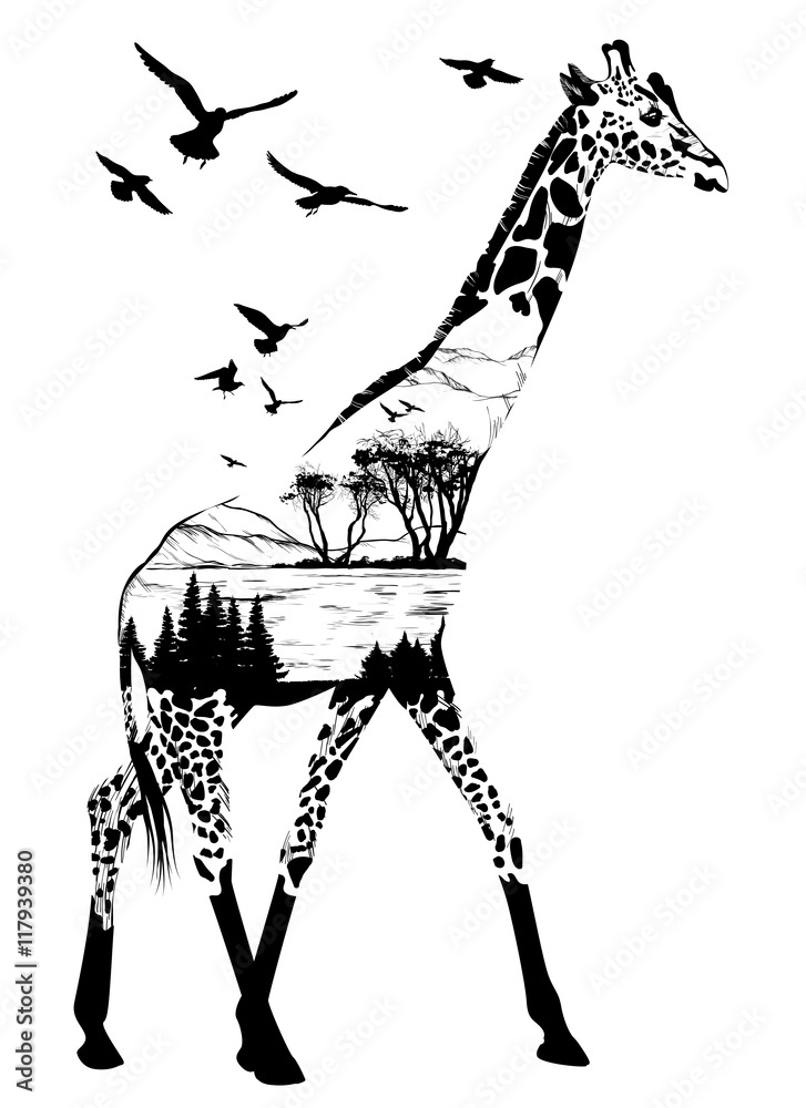 Fototapeta premium Vector Hand drawn giraffe for your design