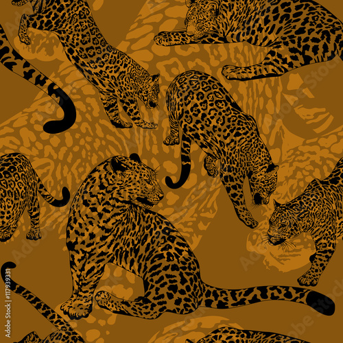 Seamless pattern with wild leopard