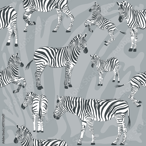 Seamless pattern with wild zebra