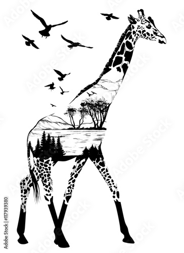 Vector Hand drawn giraffe for your design