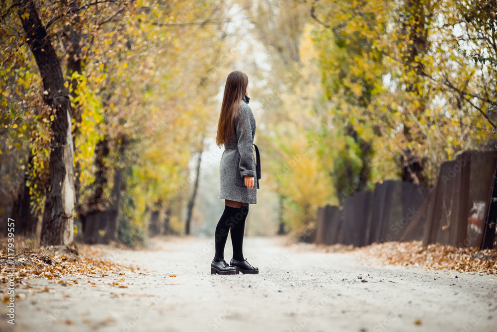 Portrait of beautiful girl in autumn park Portrait of beautiful girl in autumn park
