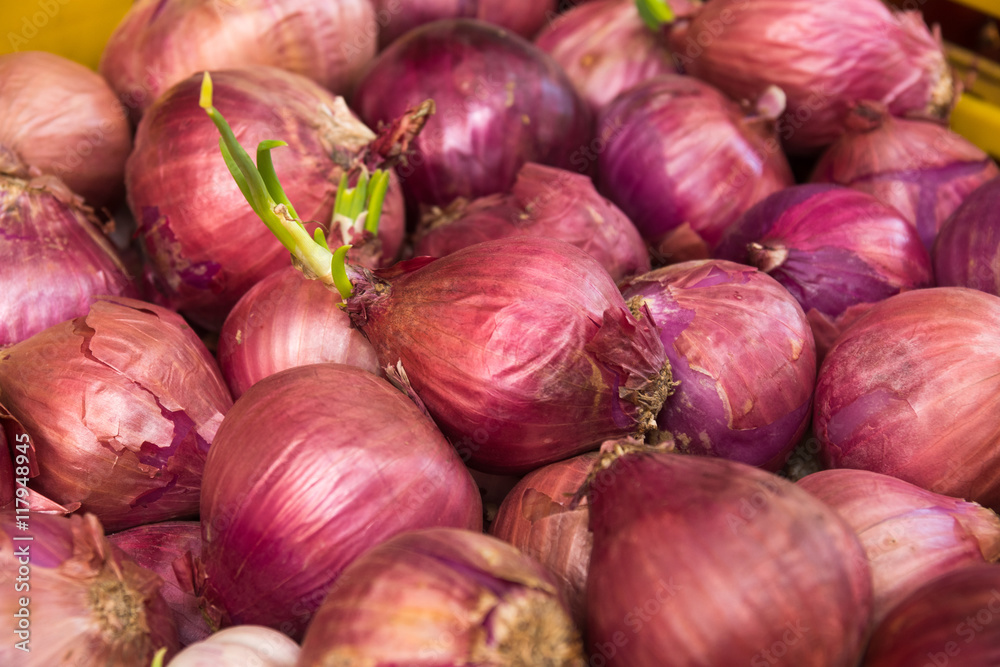 red onion red onion