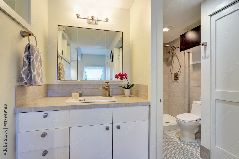 White bathroom interior design with flower pot. White bathroom interior design with flower pot.