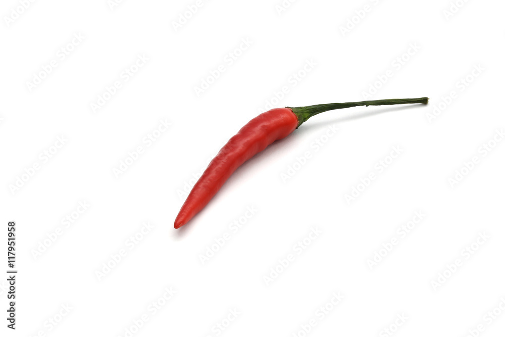red hot chili pepper isolated on a white background with clipping path red hot chili pepper isolated on a white background with clipping path