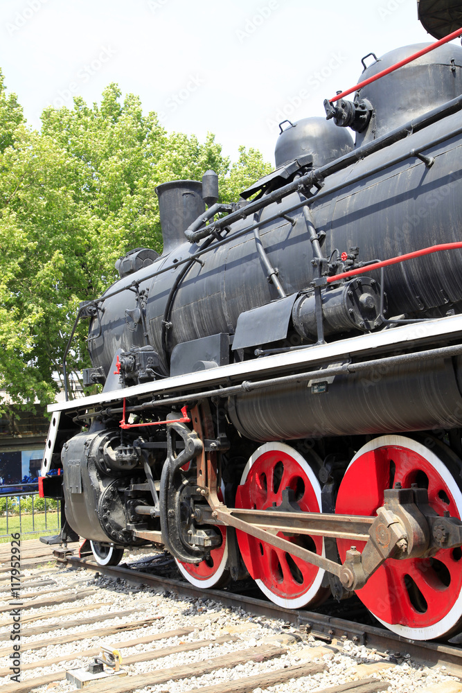 Obraz premium The train