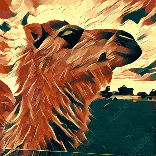 Camel portrait vector stylized illustration