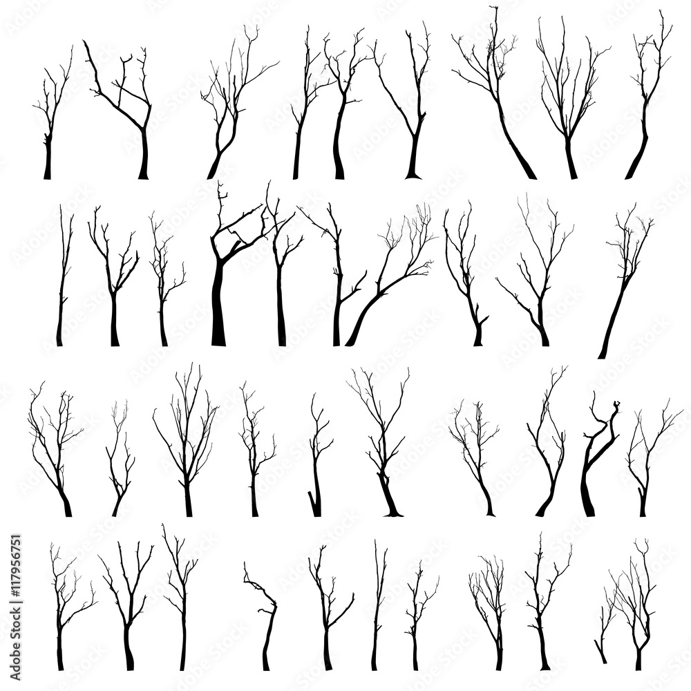 Naklejka premium Martwe drzewo bez liści ilustracji wektorowych zarysowane