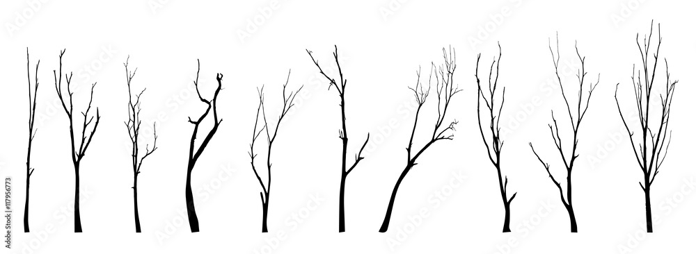 Naklejka premium vector black silhouette of a bare tree