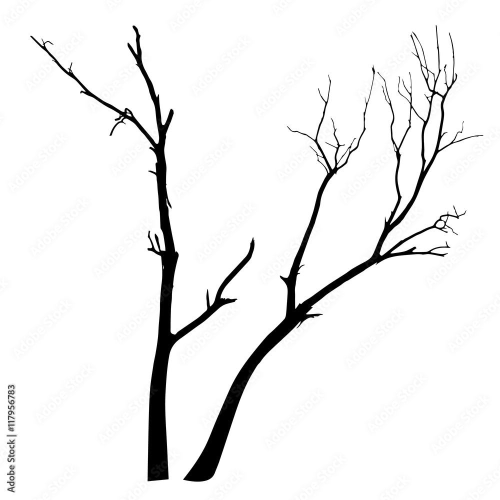 Obraz premium vector black silhouette of a bare tree