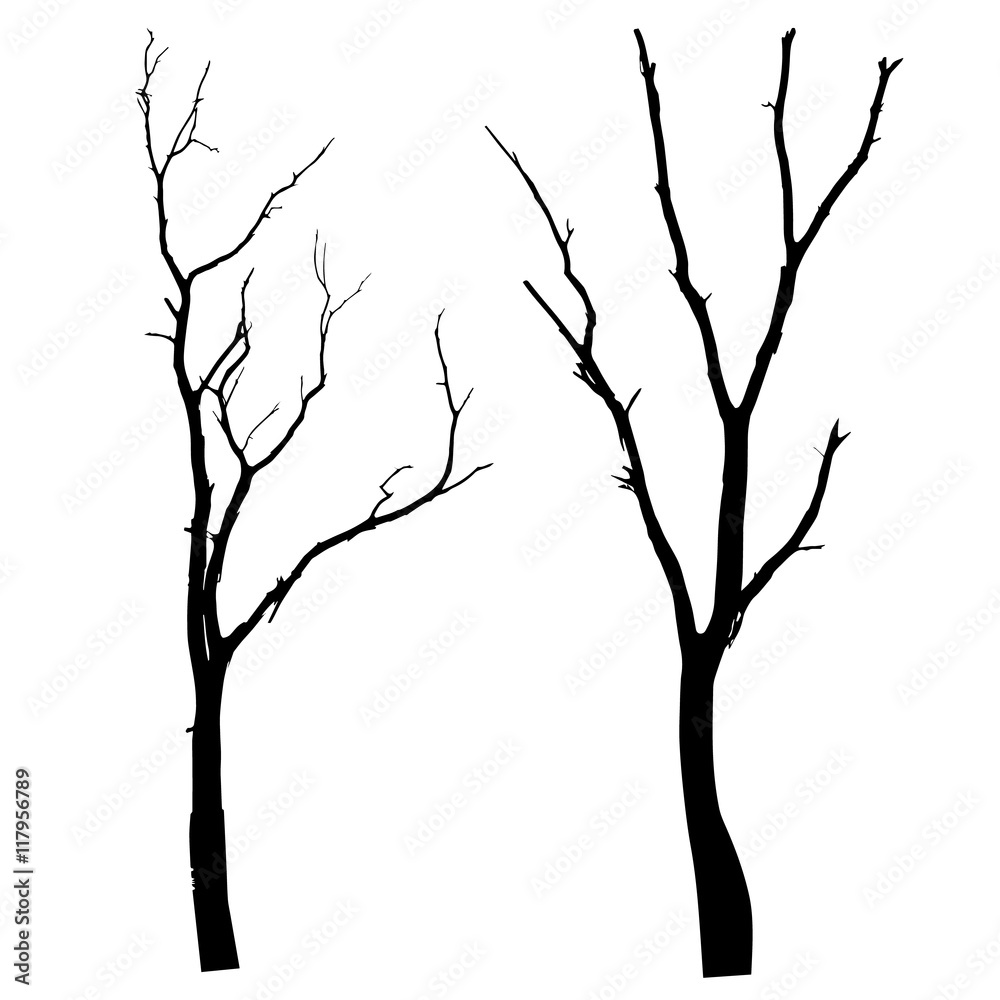 Obraz premium vector black silhouette of a bare tree