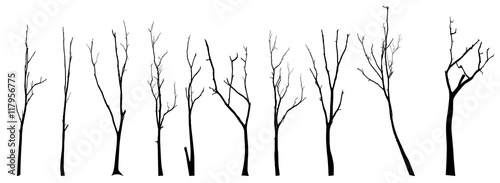 Print op canvas vector black silhouette of a bare tree