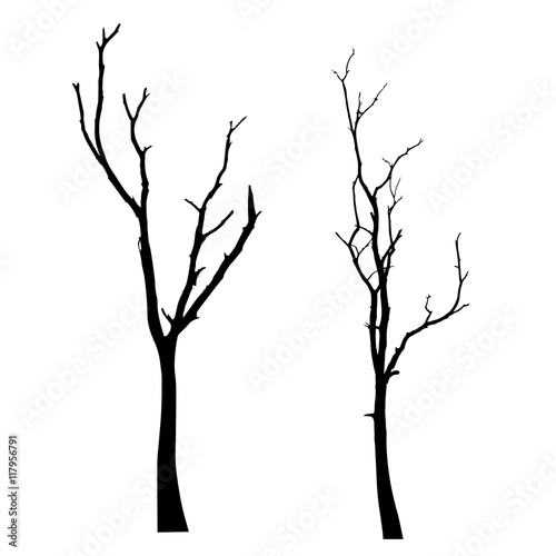vector black silhouette of a bare tree