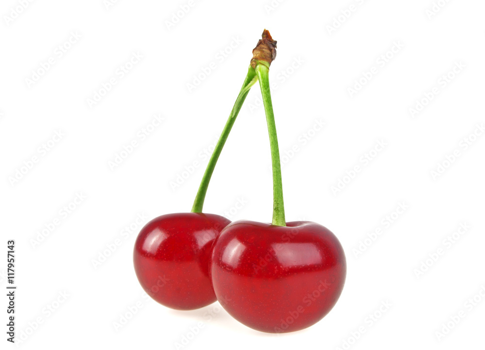 Two cherries on white background Two cherries on white background