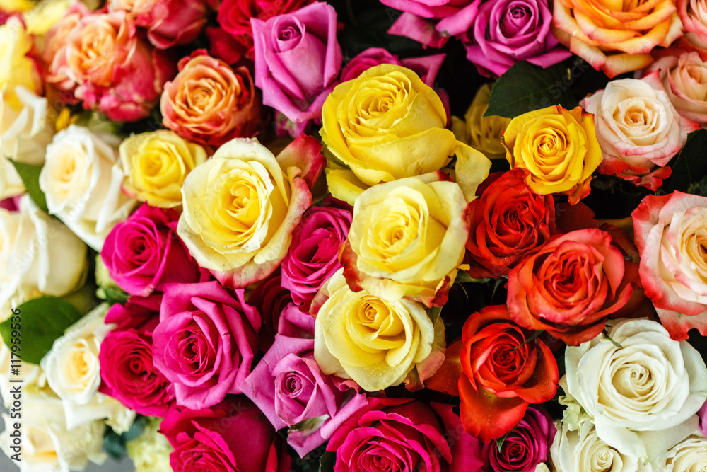 nice roses nice roses