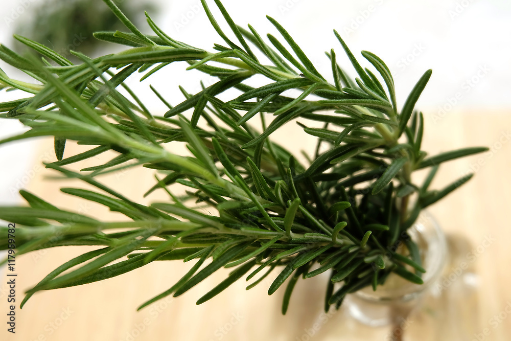 Fototapeta premium rosemary isolated 