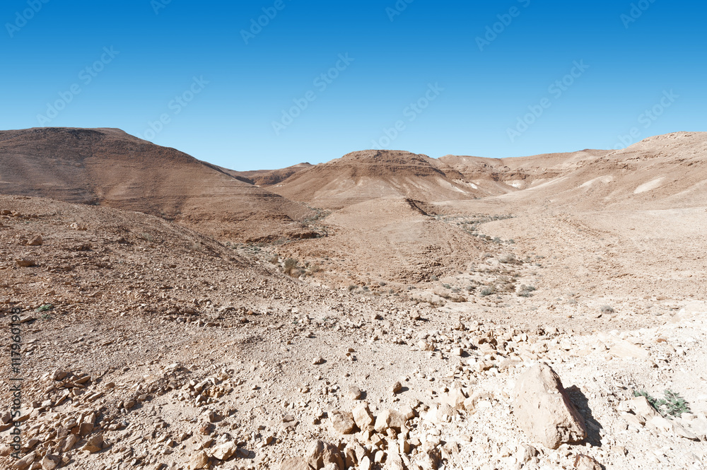 Negev Desert Negev Desert