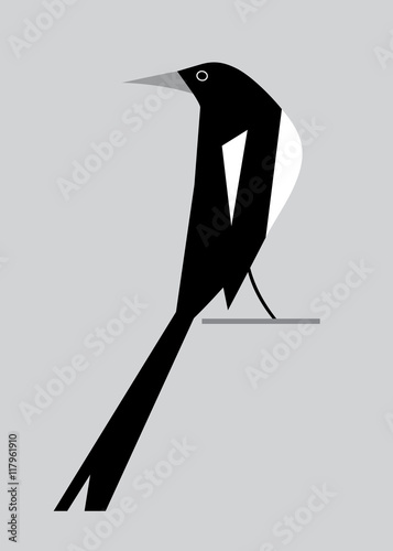 Minimalistic image of magpie2