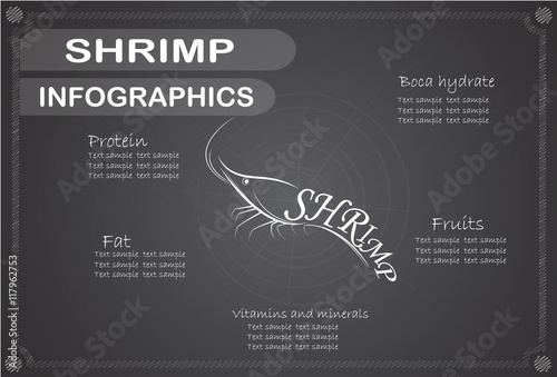 Shrimp Infographics, Vector illustration.