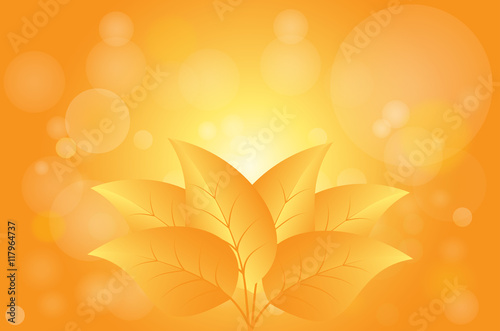 Autumn bokeh abstract light background with leafs.
