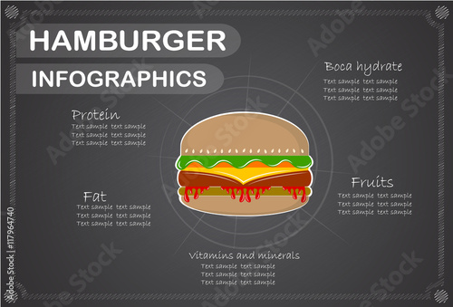 Hamburger  Infographics  Vector illustration.