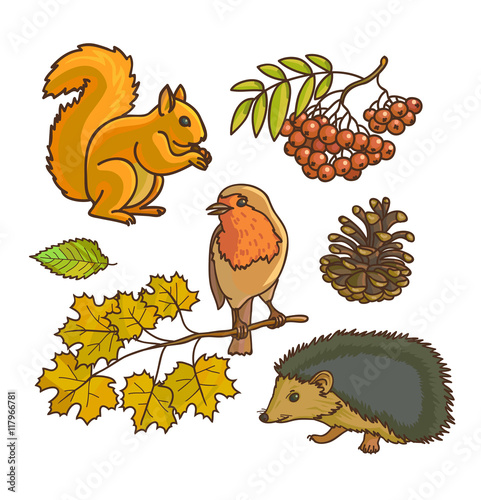 Autumn or fall icon and objects set for design.