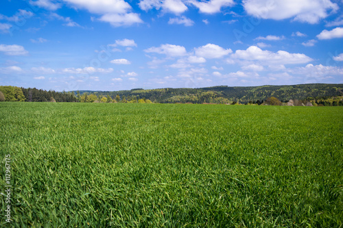 Fényképezés Grasfeld m Frühling